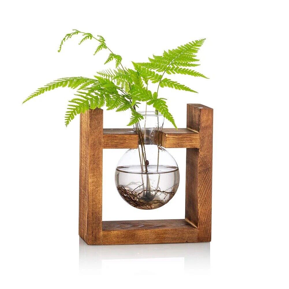 Propagation Station Bulb Vase Glass for Flowers Terrarium New Free Postage Gift.
